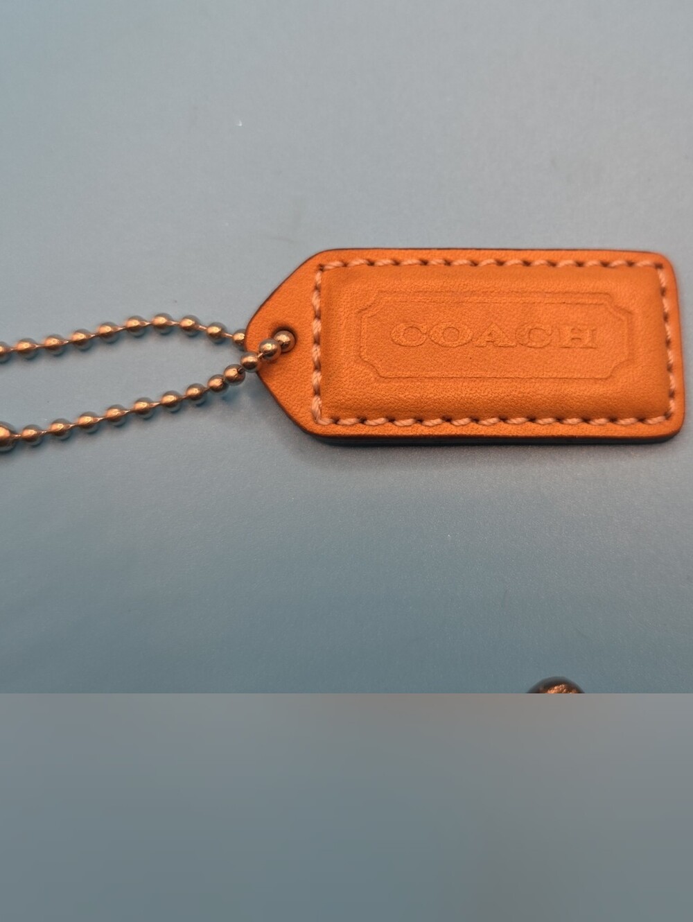 Men Bags Subcategory Identification